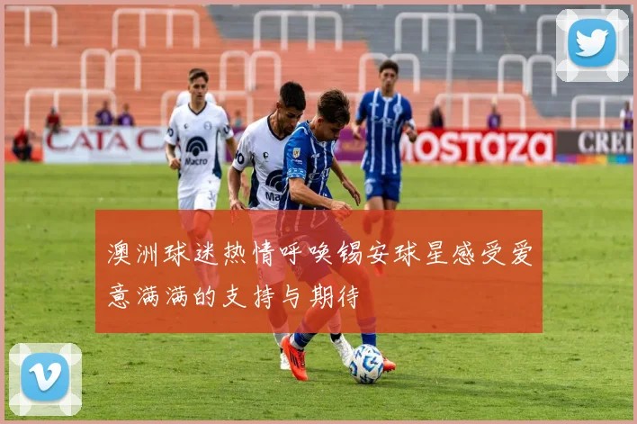 澳洲球迷热情呼唤锡安球星感受爱意满满的支持与期待
