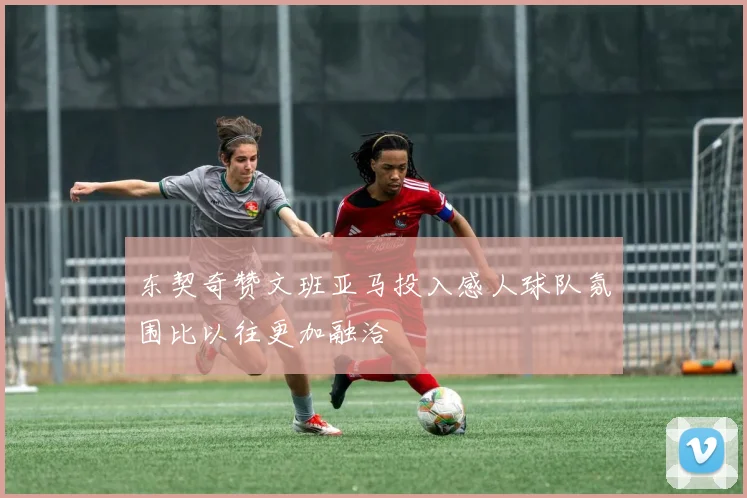 东契奇赞文班亚马投入感人球队氛围比以往更加融洽