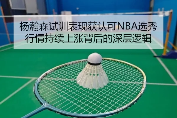 杨瀚森试训表现获认可NBA选秀行情持续上涨背后的深层逻辑 | BOYUSPORTS